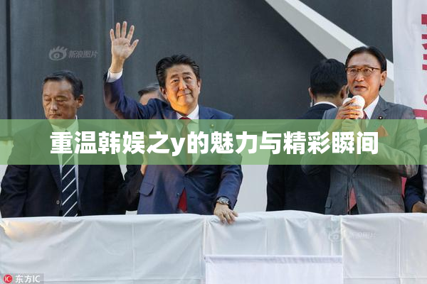 重温韩娱之y的魅力与精彩瞬间