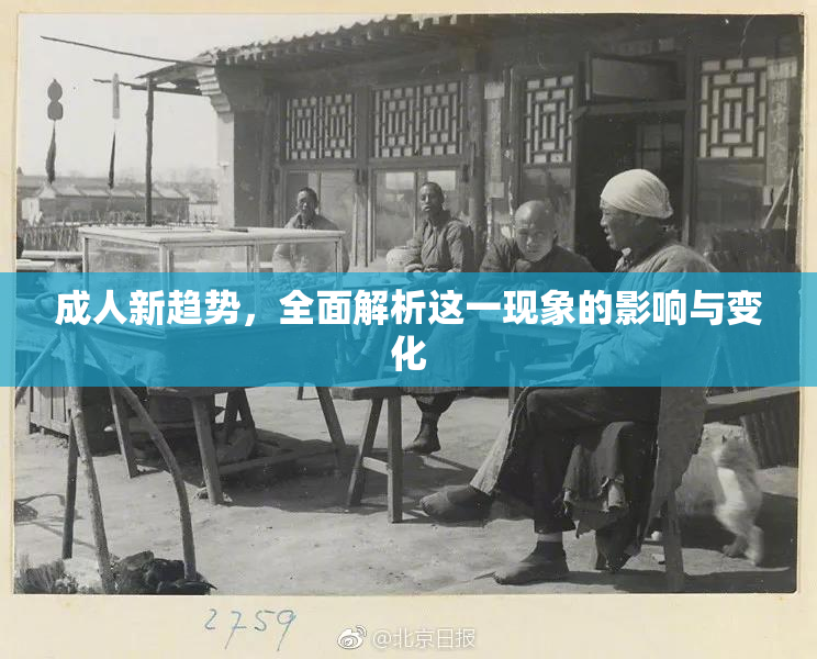 成人新趋势，全面解析这一现象的影响与变化