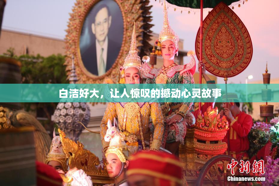 白洁好大，让人惊叹的撼动心灵故事