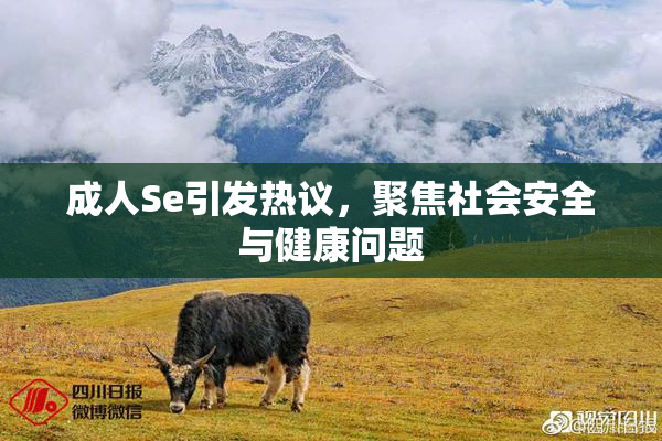 成人Se引发热议，聚焦社会安全与健康问题