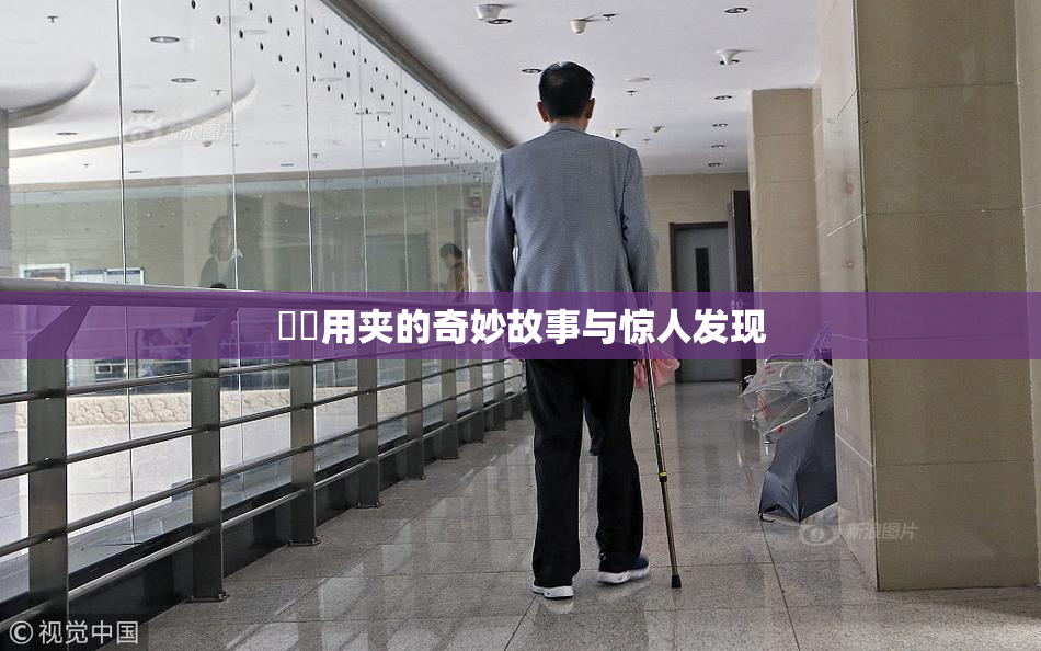 妺妺用夹的奇妙故事与惊人发现