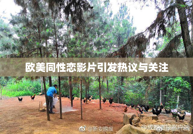欧美同性恋影片引发热议与关注