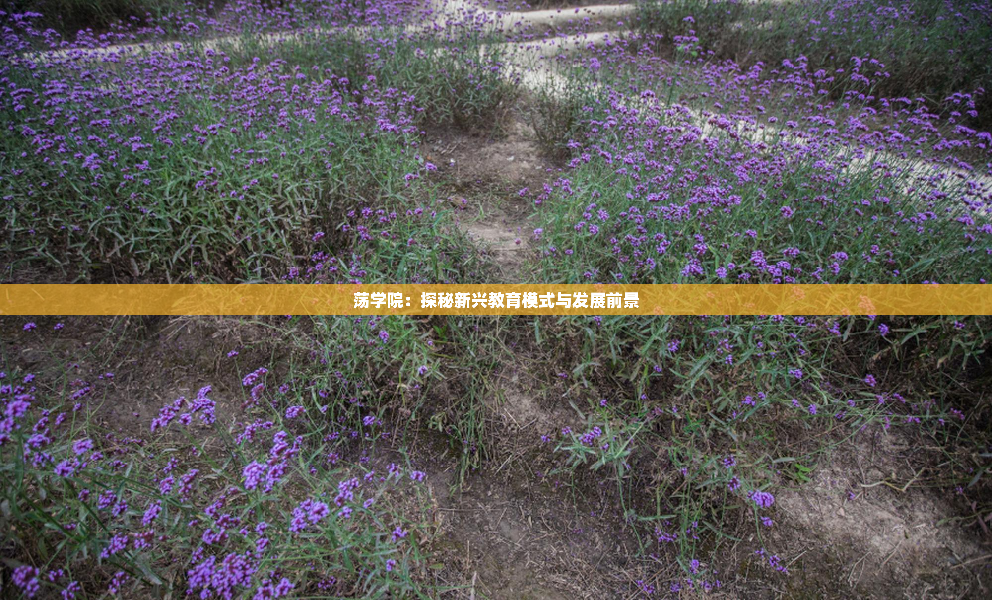 荡学院：探秘新兴教育模式与发展前景
