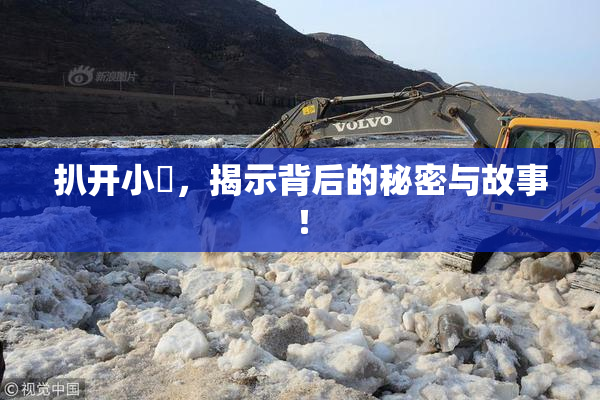 扒开小泬，揭示背后的秘密与故事！