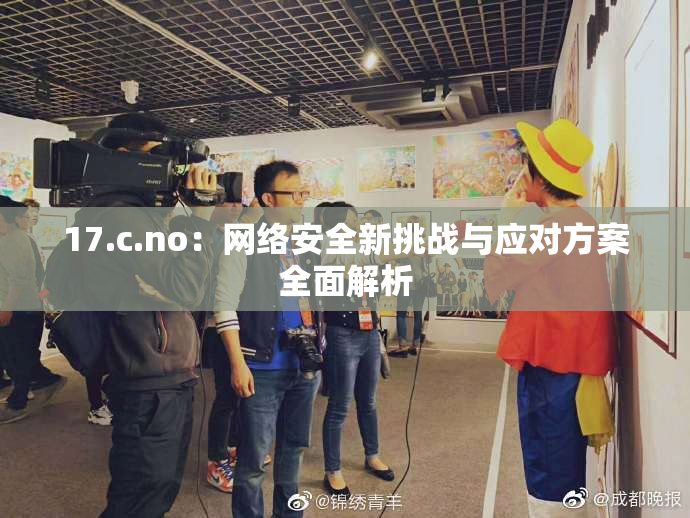 17.c.no：网络安全新挑战与应对方案全面解析