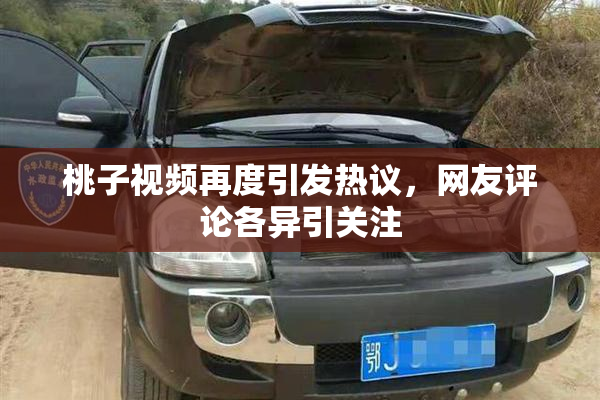 桃子视频再度引发热议，网友评论各异引关注