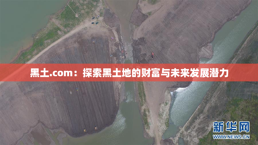 黑土.com：探索黑土地的财富与未来发展潜力