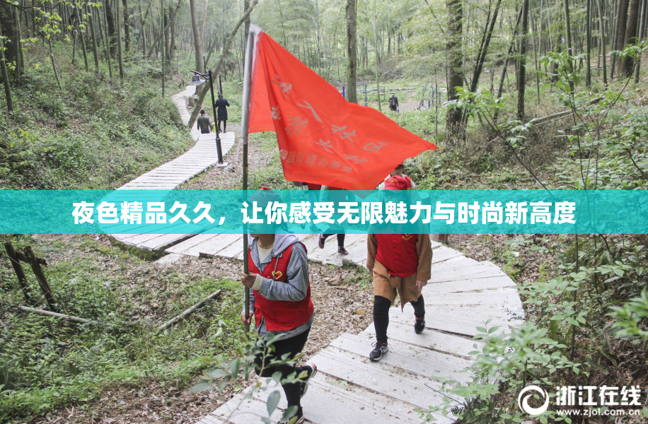 夜色精品久久，让你感受无限魅力与时尚新高度