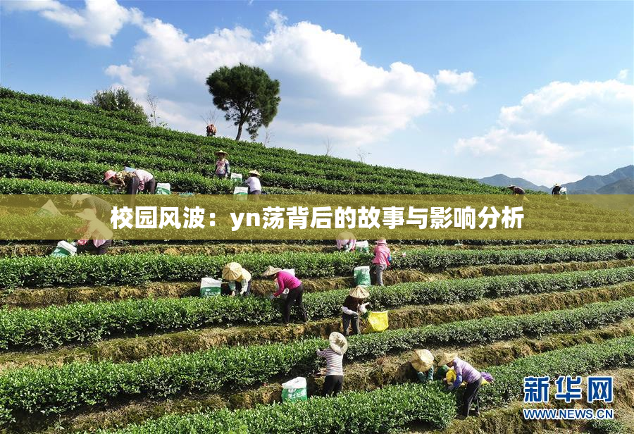 校园风波：yn荡背后的故事与影响分析