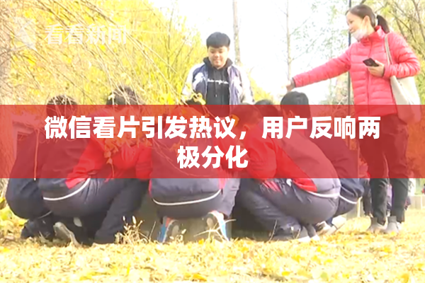 微信看片引发热议，用户反响两极分化