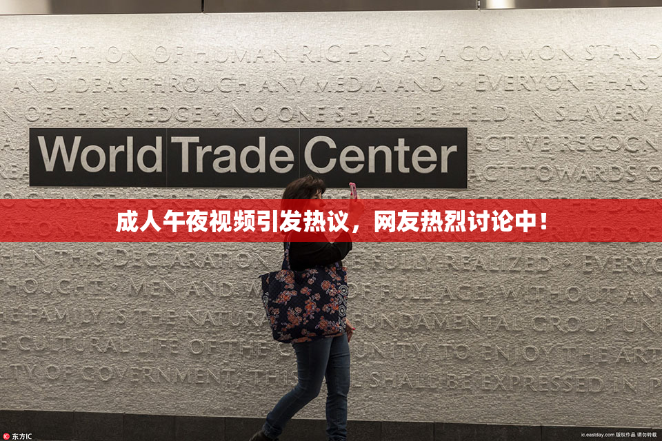 成人午夜视频引发热议，网友热烈讨论中！
