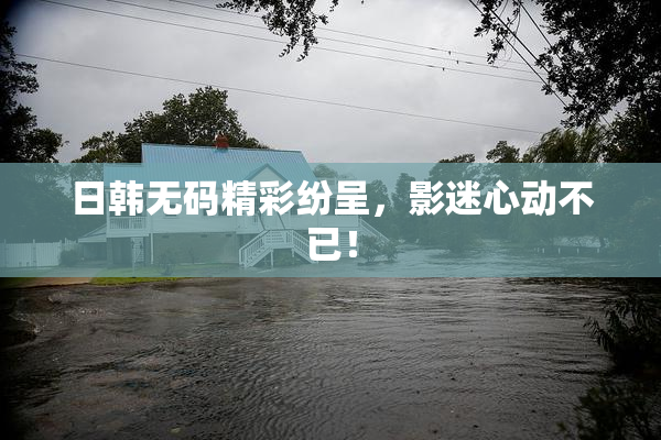 日韩无码精彩纷呈，影迷心动不已！