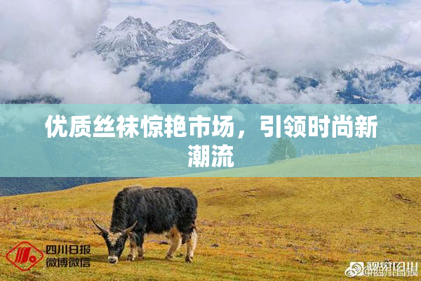 优质丝袜惊艳市场，引领时尚新潮流