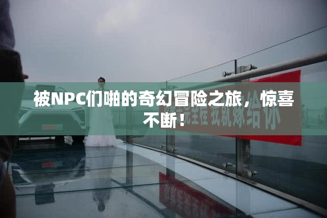 被NPC们啪的奇幻冒险之旅，惊喜不断！