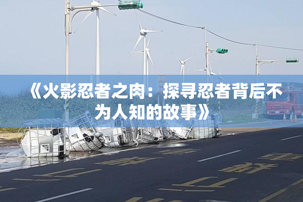 《火影忍者之肉：探寻忍者背后不为人知的故事》
