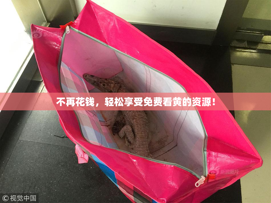 不再花钱，轻松享受免费看黄的资源！