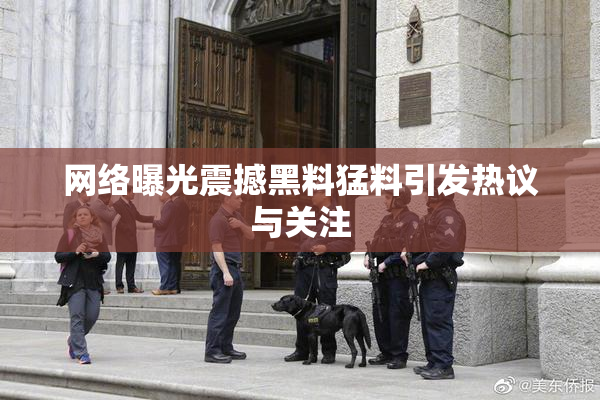 网络曝光震撼黑料猛料引发热议与关注