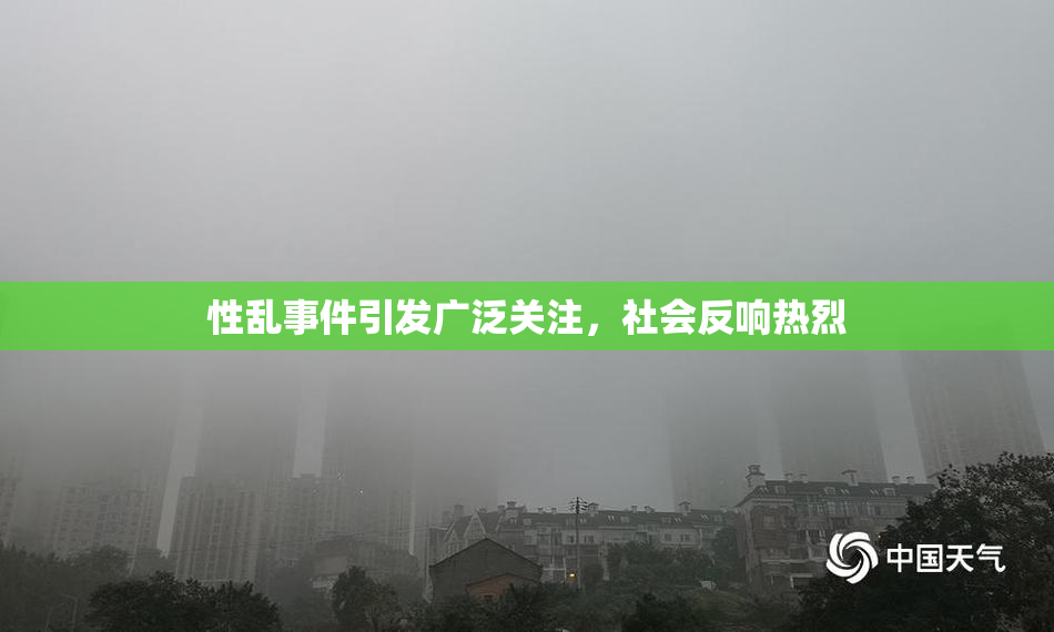 性乱事件引发广泛关注，社会反响热烈