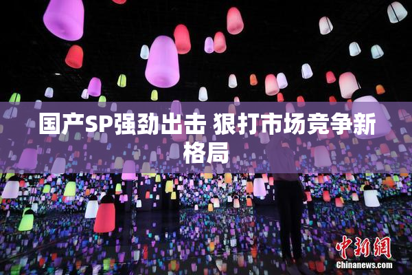 国产SP强劲出击 狠打市场竞争新格局
