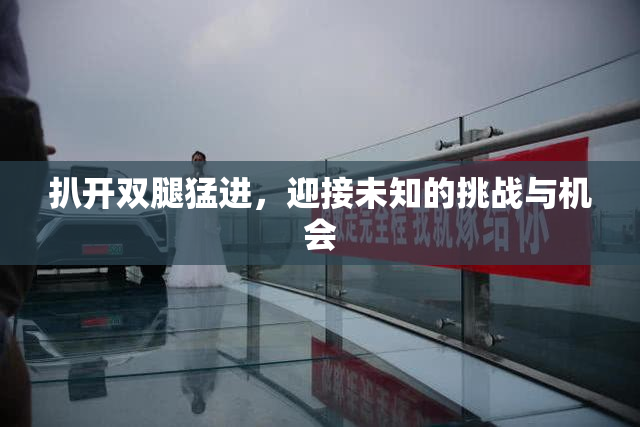 扒开双腿猛进，迎接未知的挑战与机会
