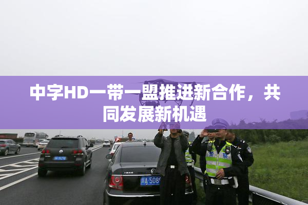 中字HD一带一盟推进新合作，共同发展新机遇