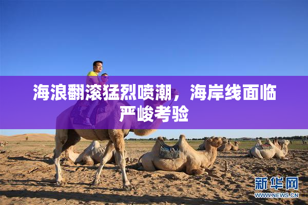 海浪翻滚猛烈喷潮，海岸线面临严峻考验