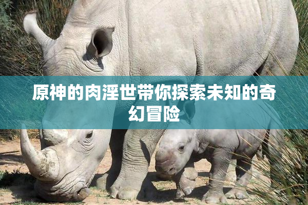 原神的肉淫世带你探索未知的奇幻冒险