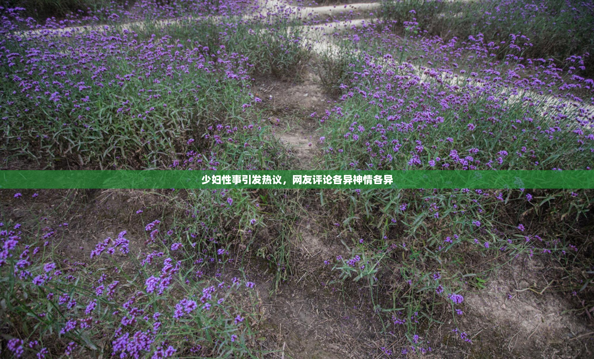 少妇性事引发热议，网友评论各异神情各异