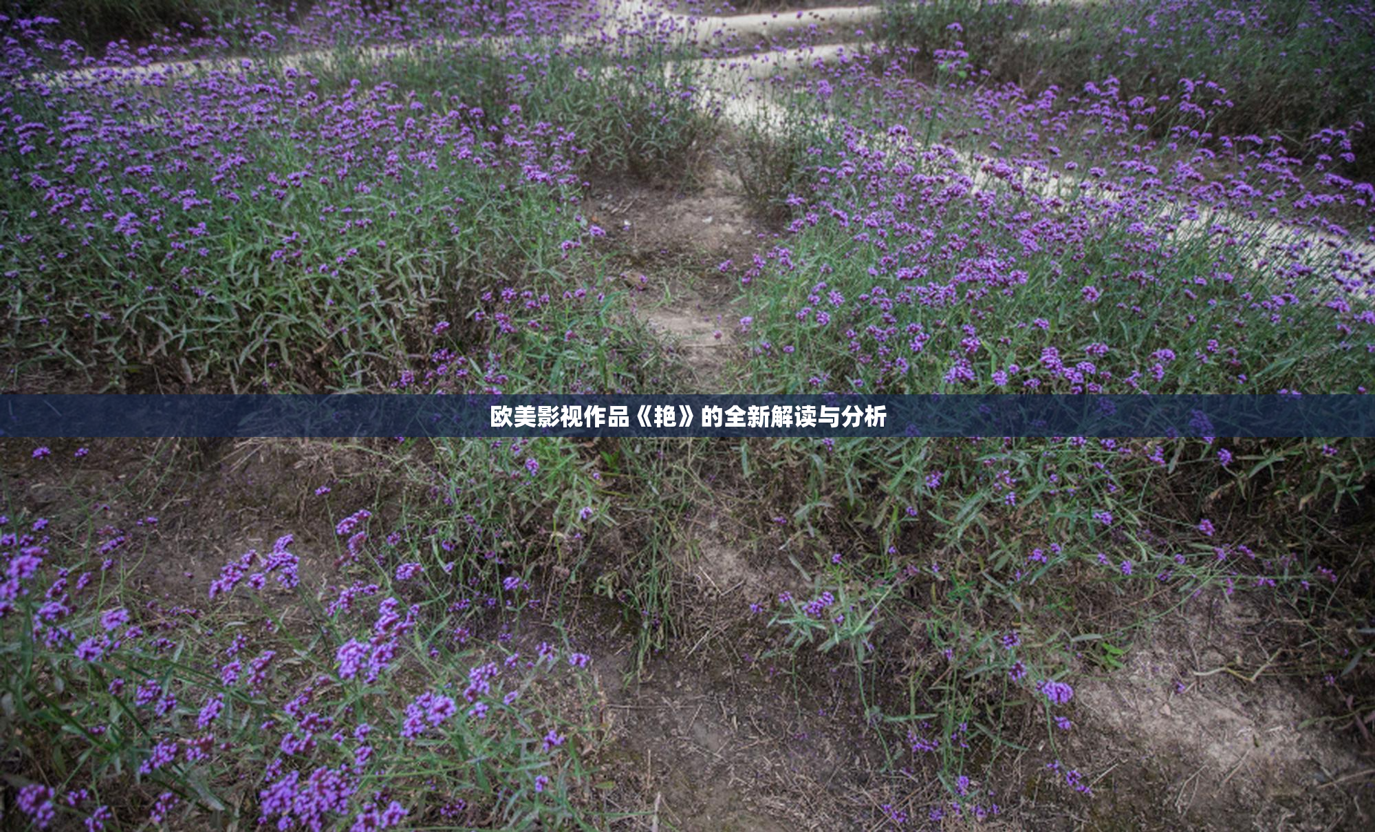 欧美影视作品《艳》的全新解读与分析