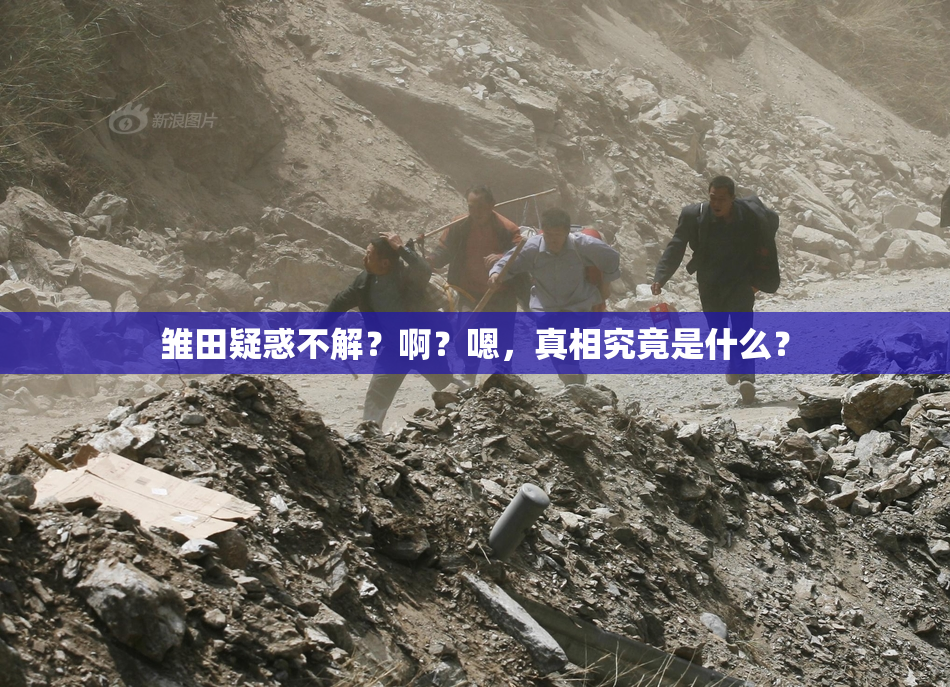 雏田疑惑不解？啊？嗯，真相究竟是什么？