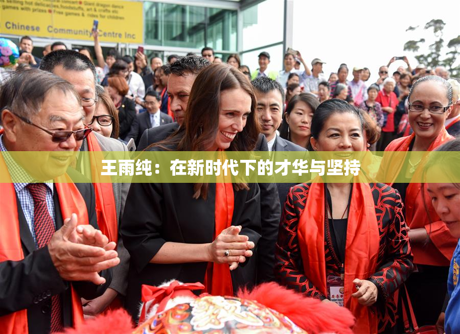 王雨纯：在新时代下的才华与坚持