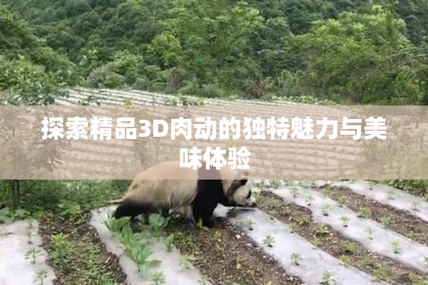 探索精品3D肉动的独特魅力与美味体验