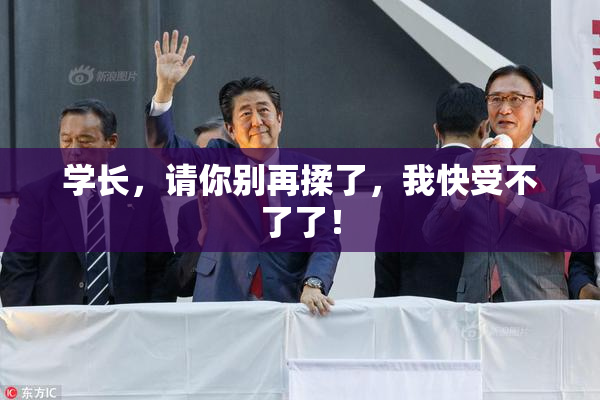 学长，请你别再揉了，我快受不了了！