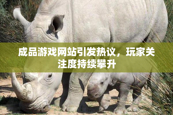 成品游戏网站引发热议，玩家关注度持续攀升