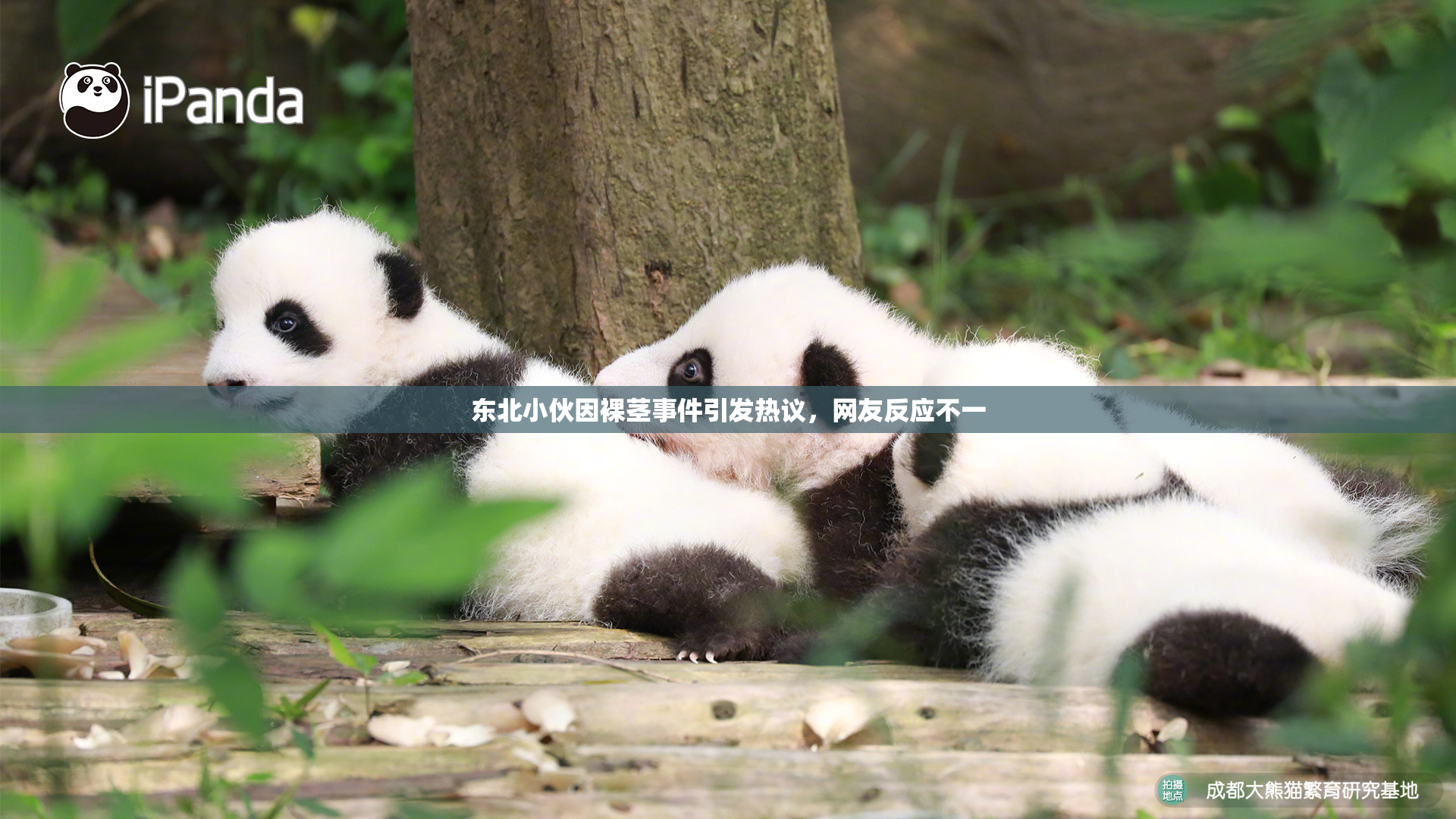 东北小伙因裸茎事件引发热议，网友反应不一