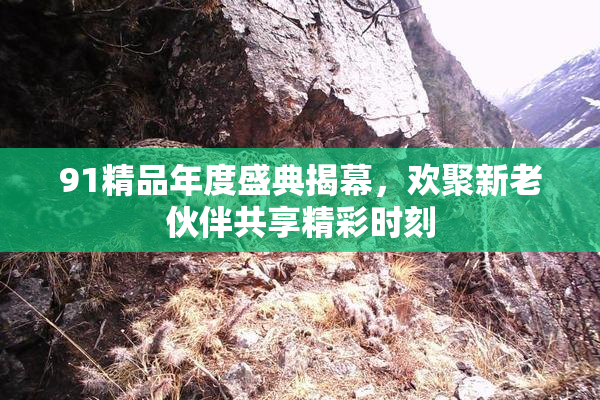 91精品年度盛典揭幕，欢聚新老伙伴共享精彩时刻