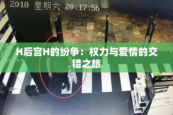 H后宫H的纷争：权力与爱情的交错之旅
