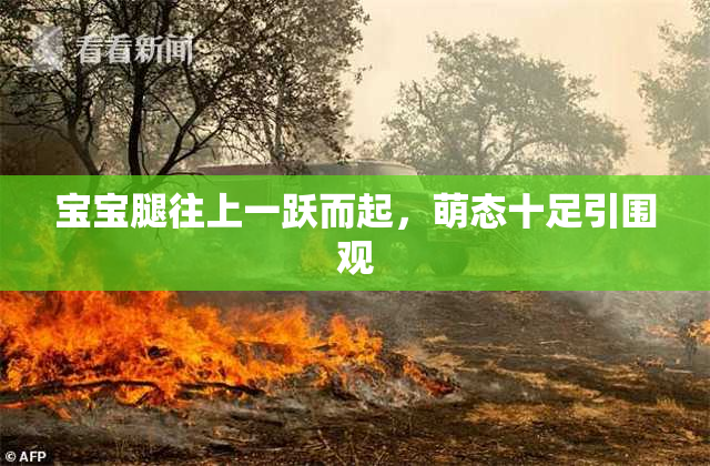 宝宝腿往上一跃而起，萌态十足引围观