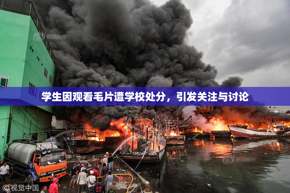 学生因观看毛片遭学校处分，引发关注与讨论