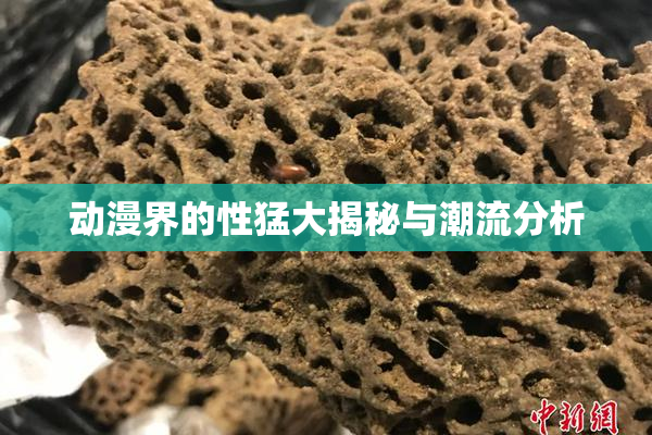 动漫界的性猛大揭秘与潮流分析
