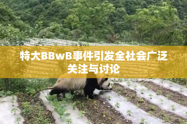 特大BBwB事件引发全社会广泛关注与讨论