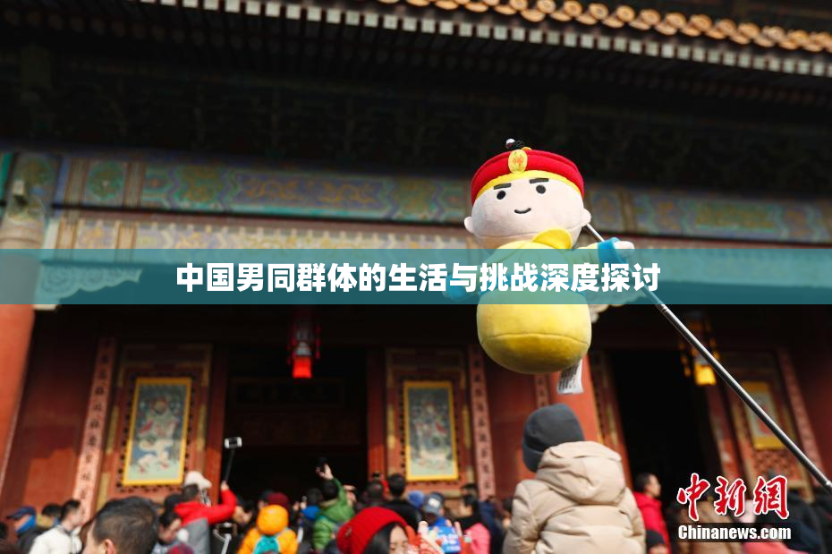 中国男同群体的生活与挑战深度探讨