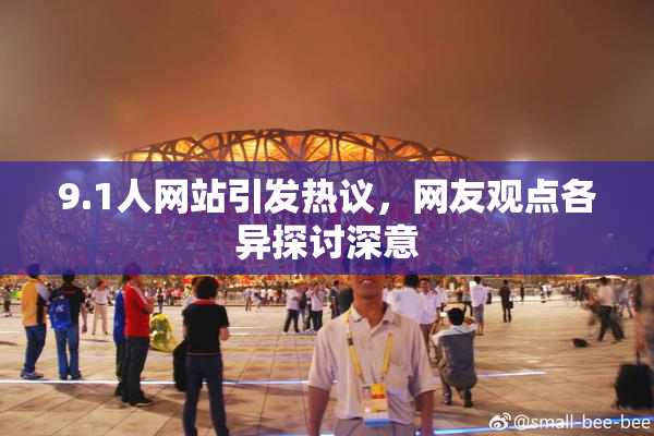 9.1人网站引发热议，网友观点各异探讨深意