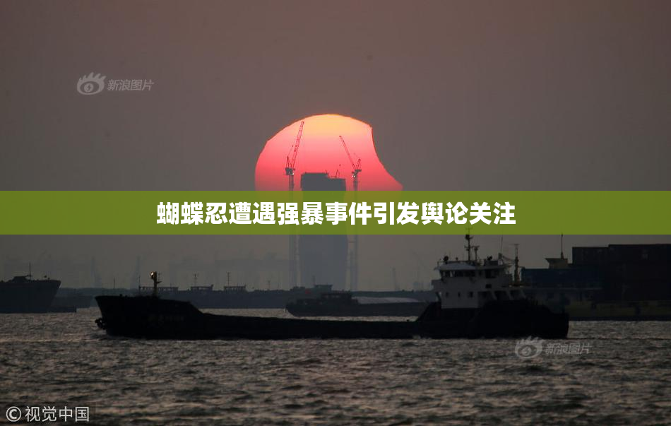 蝴蝶忍遭遇强暴事件引发舆论关注