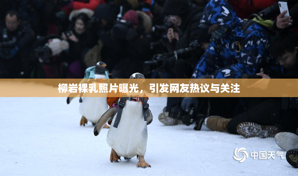 柳岩裸乳照片曝光，引发网友热议与关注