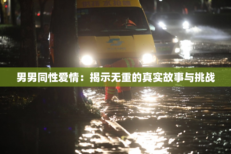 男男同性爱情：揭示无重的真实故事与挑战