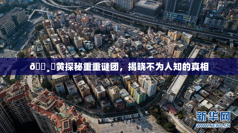 🌸‌黄探秘重重谜团，揭晓不为人知的真相
