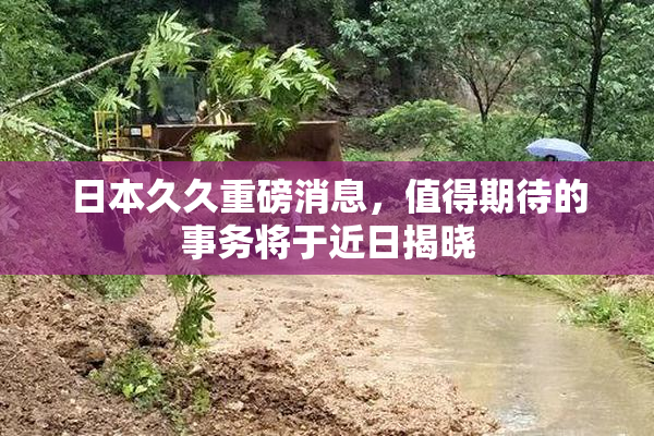 日本久久重磅消息，值得期待的事务将于近日揭晓