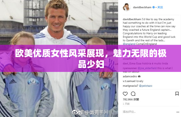 欧美优质女性风采展现，魅力无限的极品少妇