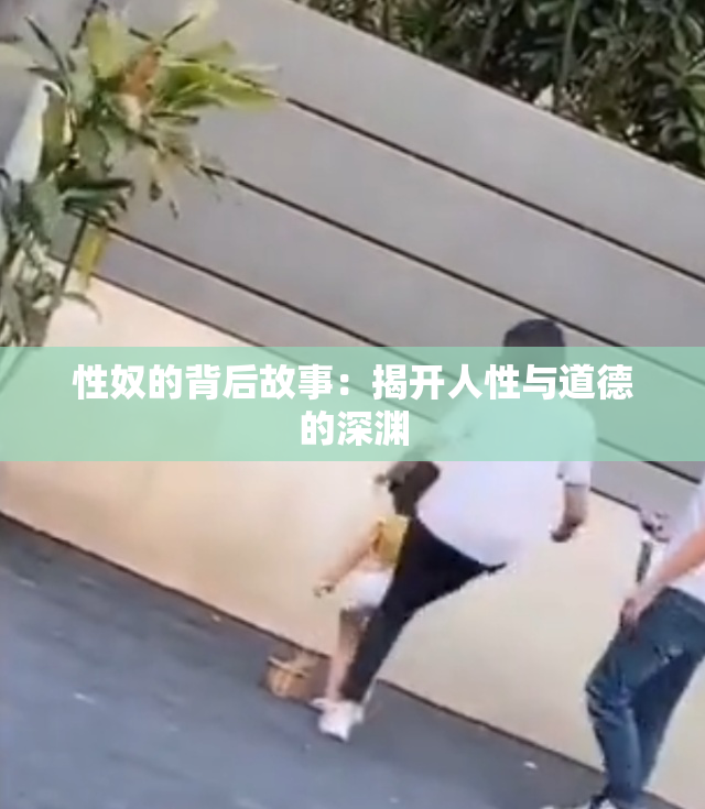 性奴的背后故事：揭开人性与道德的深渊